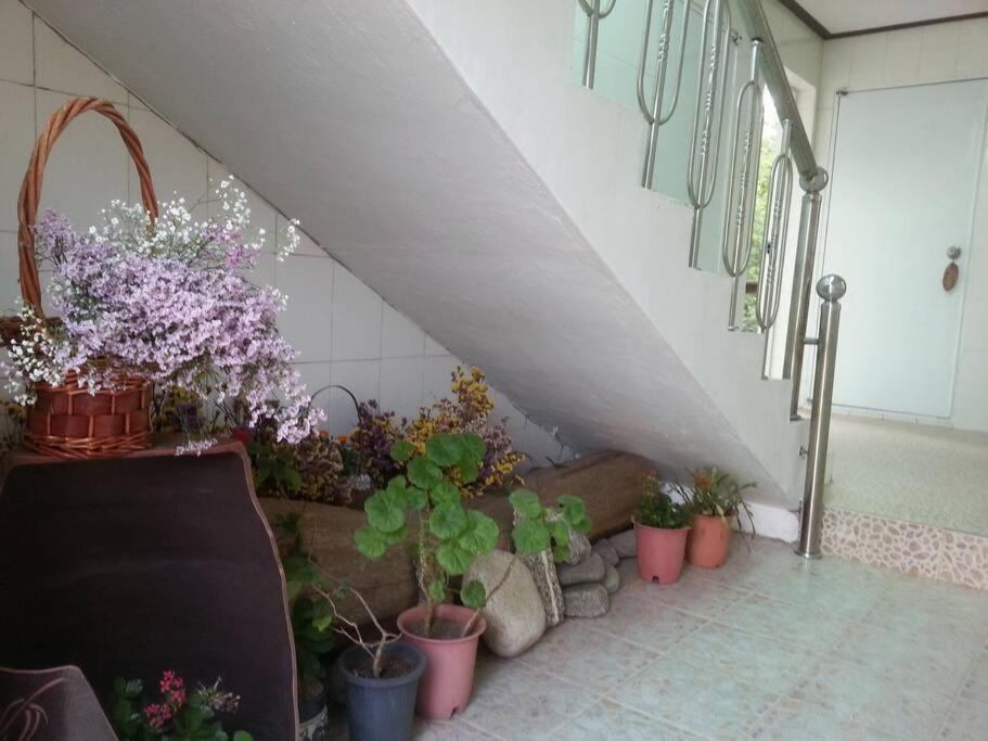 Blue Sky Milky Way Pension Yangyang Ngoại thất bức ảnh
